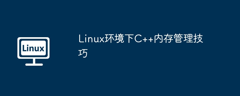 Linux环境下C++内存管理技巧（内存管理.环境.技巧.Linux...........）