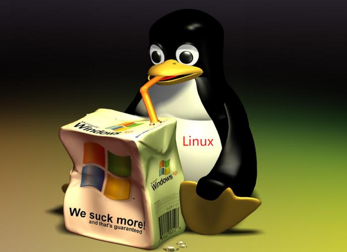 Linux服务器安全加固策略，防范网络威胁(加固,防范,威胁,策略,服务器....)