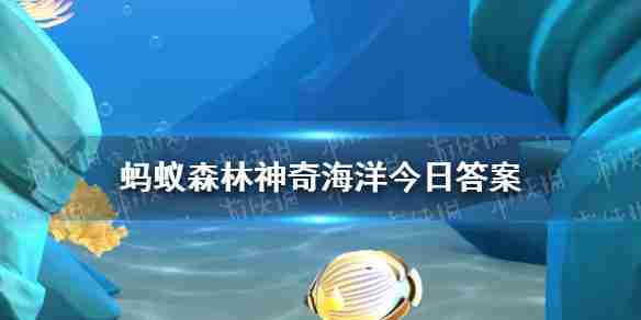 职业小知识最新答案3.12 蚂蚁新村职业小知识今日答案3.12