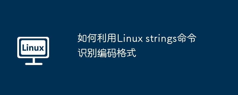 如何利用Linux strings命令识别编码格式（识别.编码.命令.利用.格式...........）