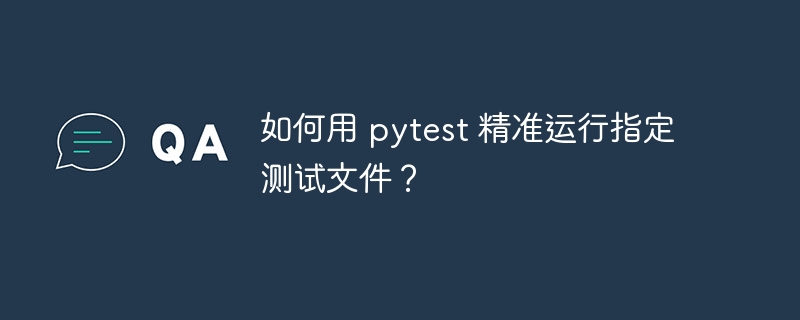 如何用 pytest 精准运行指定测试文件？