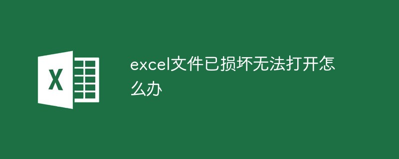 excel文件已损坏无法打开怎么办（损坏.无法打开.文件.excel.....）